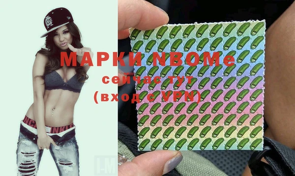 прущий лед Алзамай