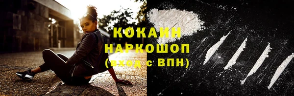 прущий лед Алзамай